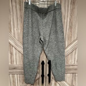 NWT Express Sweater Joggers